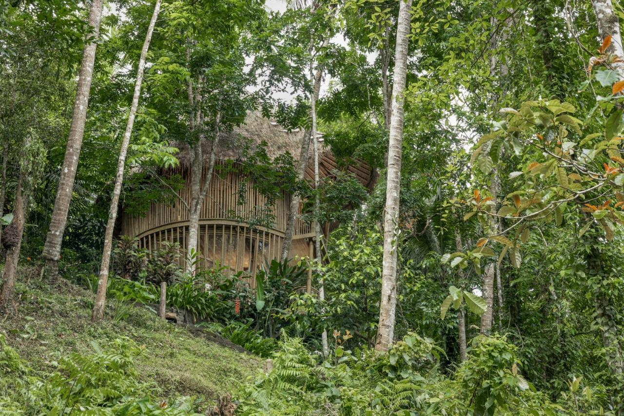 Villa Amarta Pesagi Retreat Tabanan Exterior foto